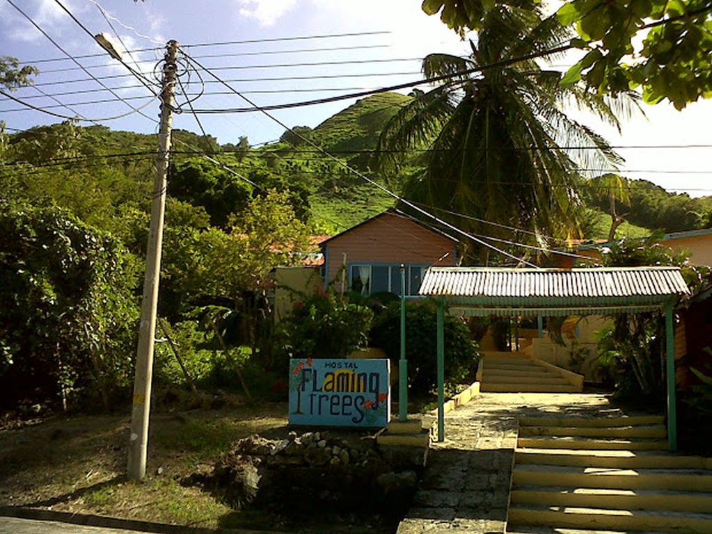 Hotel Flemming Tree Providencia Island Zewnętrze zdjęcie