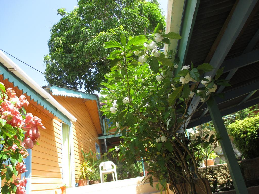 Hotel Flemming Tree Providencia Island Zewnętrze zdjęcie