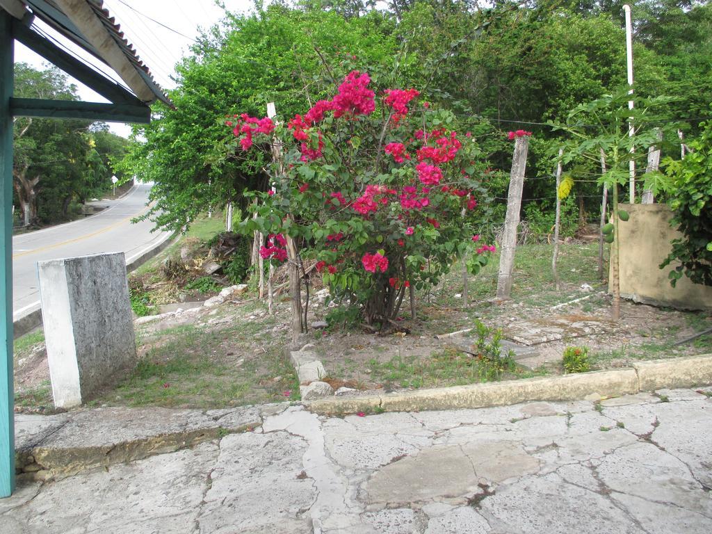Hotel Flemming Tree Providencia Island Zewnętrze zdjęcie