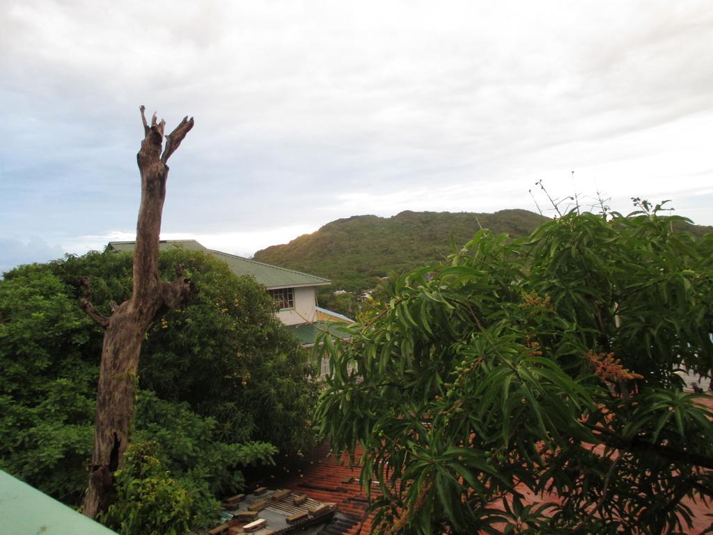 Hotel Flemming Tree Providencia Island Zewnętrze zdjęcie
