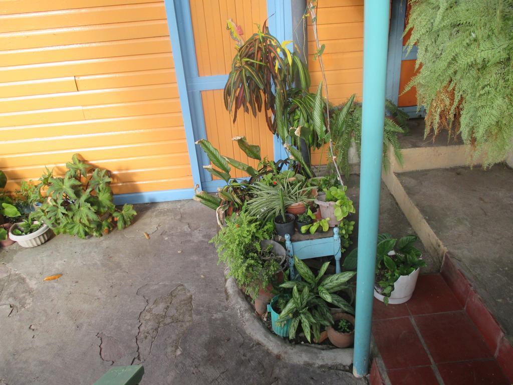 Hotel Flemming Tree Providencia Island Zewnętrze zdjęcie