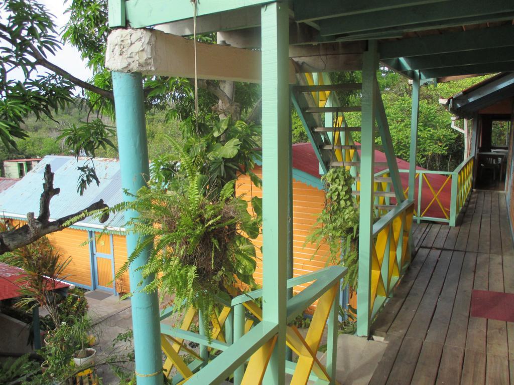 Hotel Flemming Tree Providencia Island Zewnętrze zdjęcie