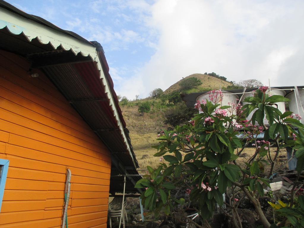 Hotel Flemming Tree Providencia Island Zewnętrze zdjęcie
