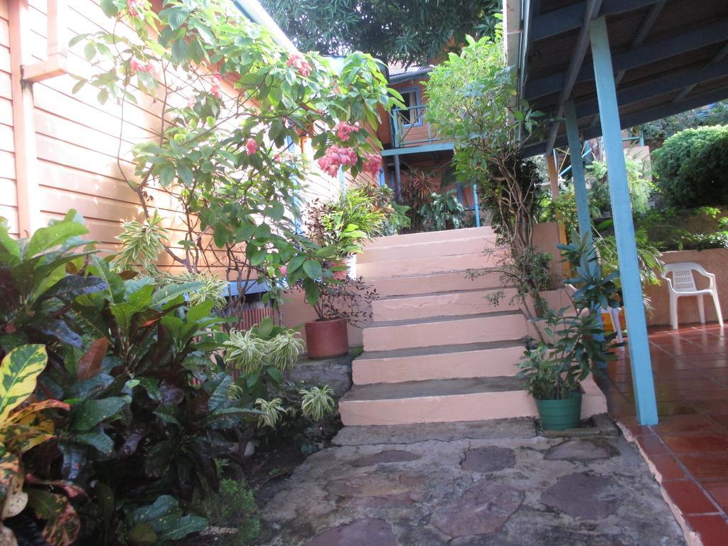 Hotel Flemming Tree Providencia Island Zewnętrze zdjęcie