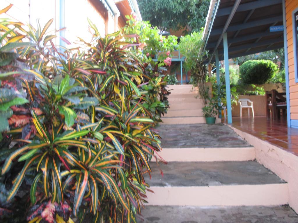 Hotel Flemming Tree Providencia Island Zewnętrze zdjęcie
