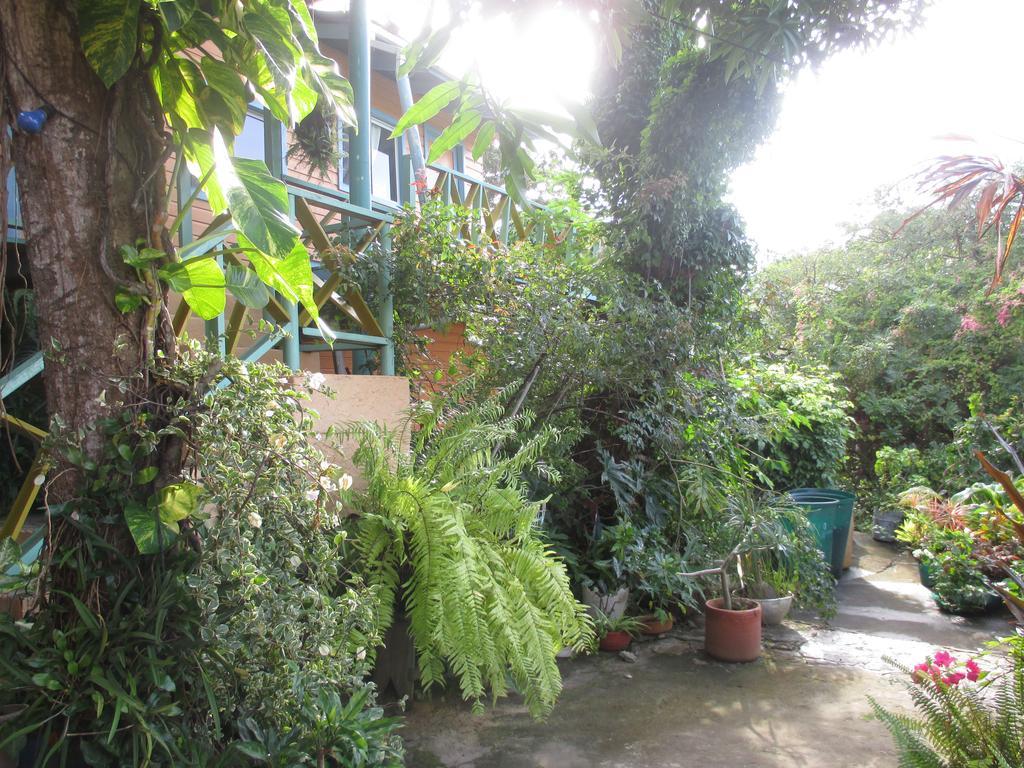Hotel Flemming Tree Providencia Island Zewnętrze zdjęcie