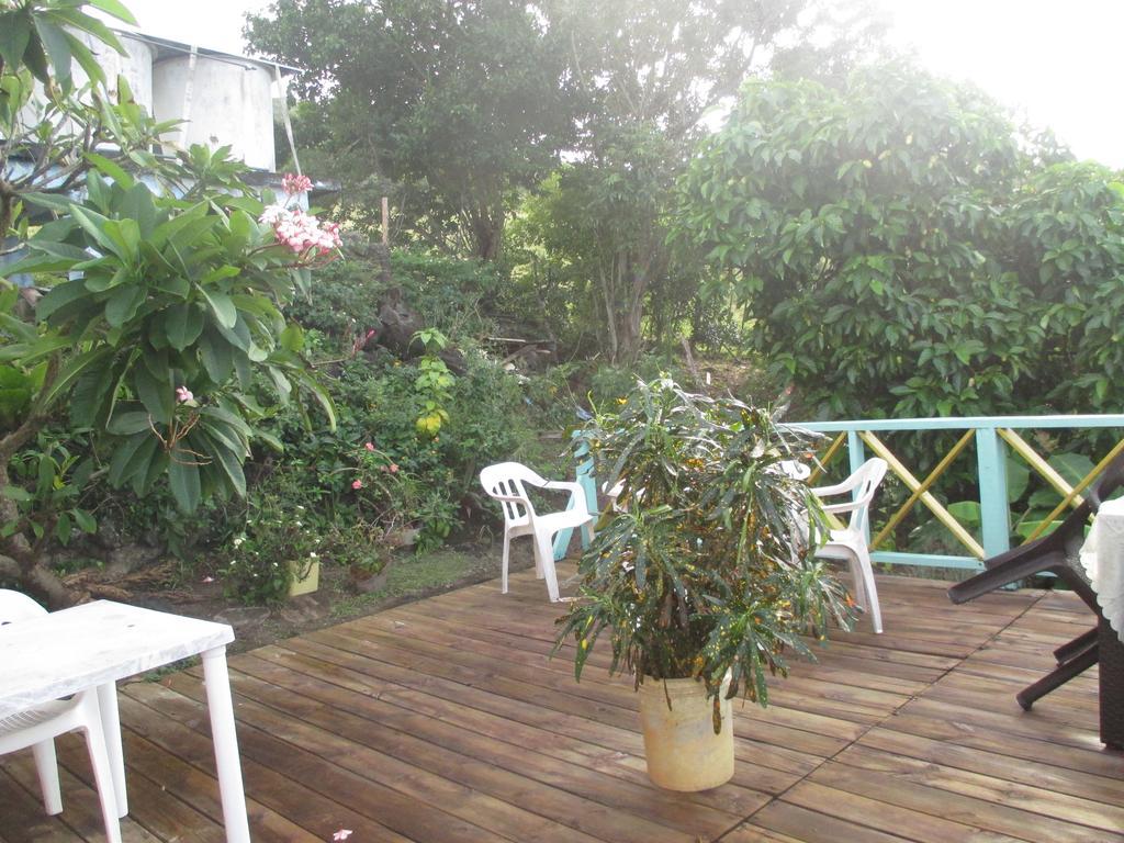 Hotel Flemming Tree Providencia Island Zewnętrze zdjęcie
