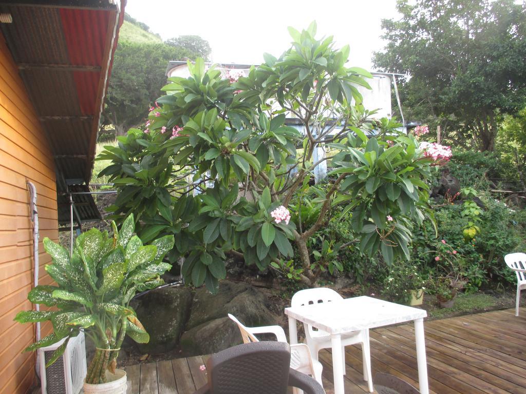 Hotel Flemming Tree Providencia Island Zewnętrze zdjęcie