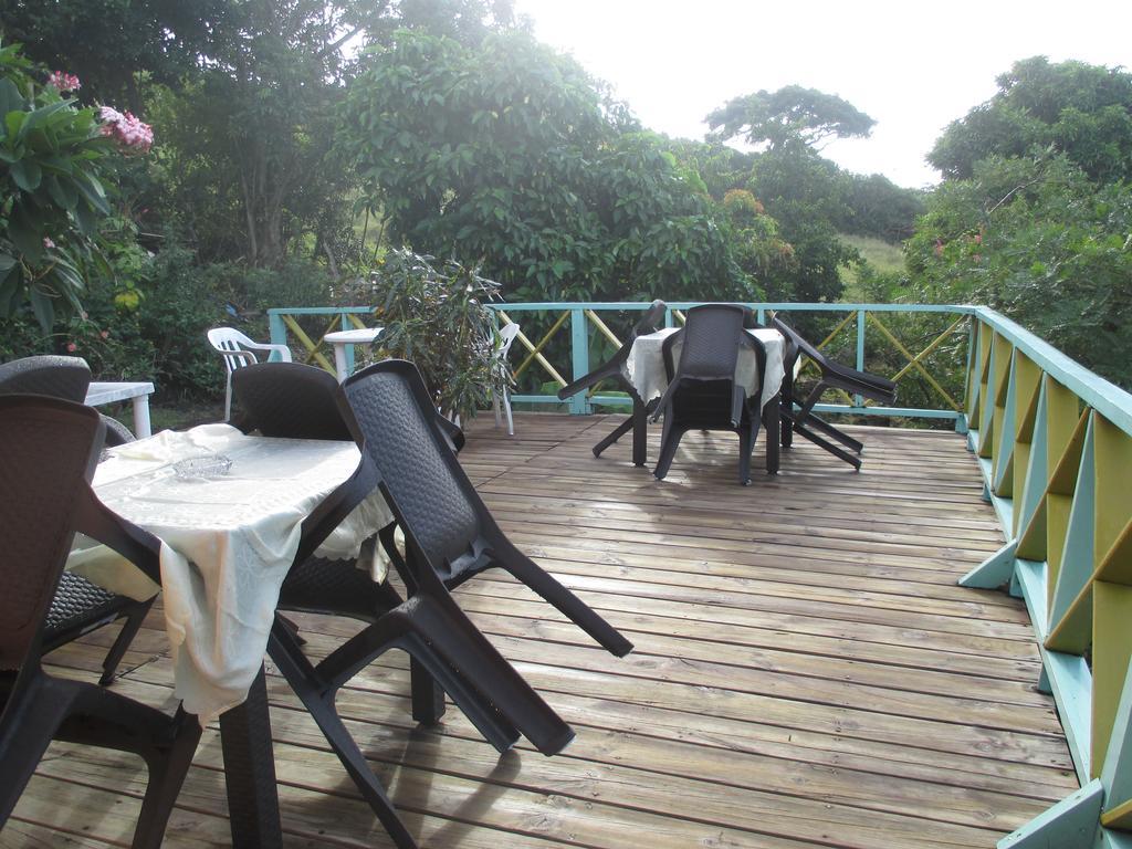 Hotel Flemming Tree Providencia Island Zewnętrze zdjęcie