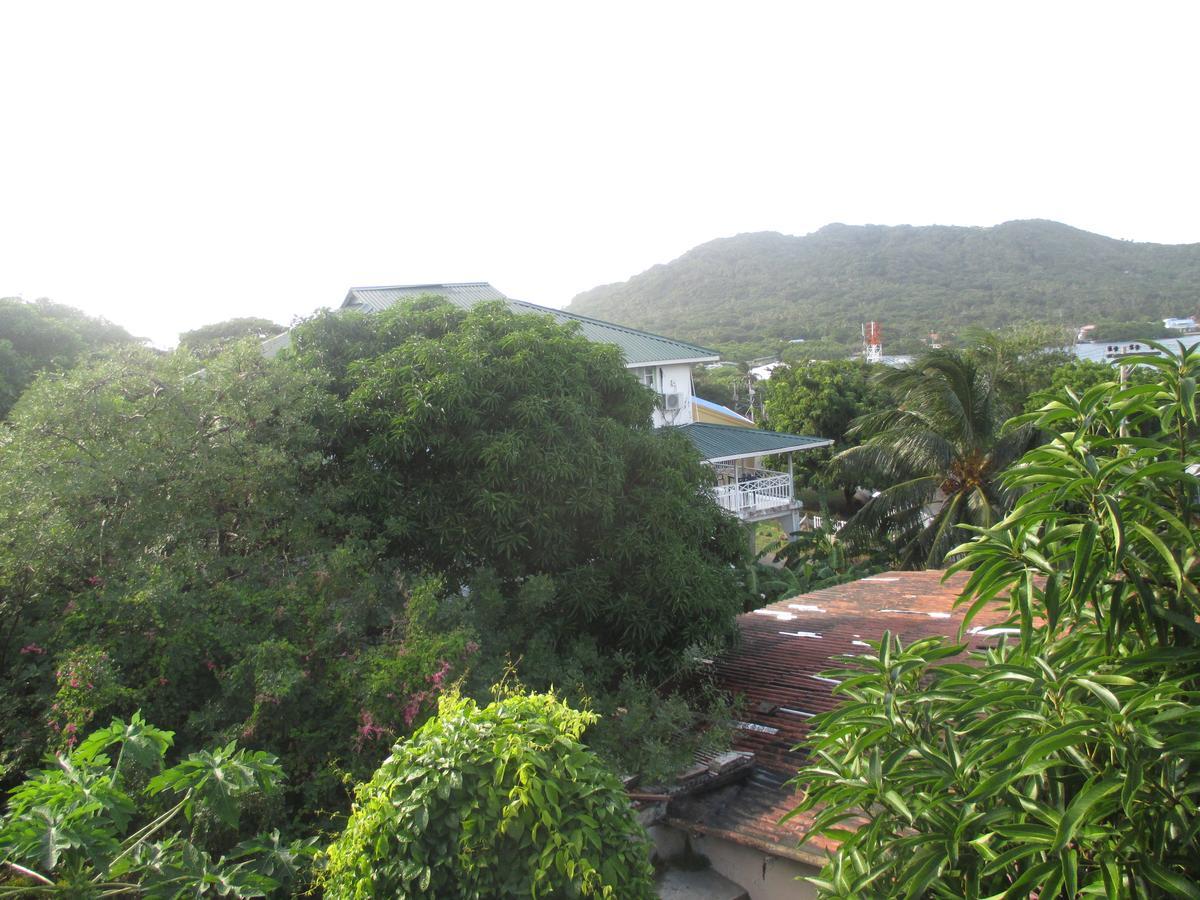 Hotel Flemming Tree Providencia Island Zewnętrze zdjęcie